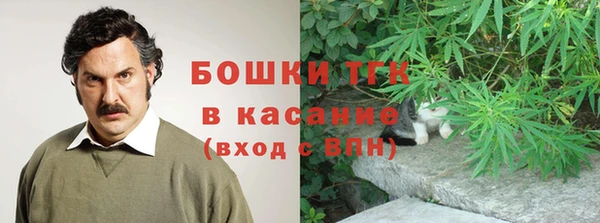 прущий лед Богданович